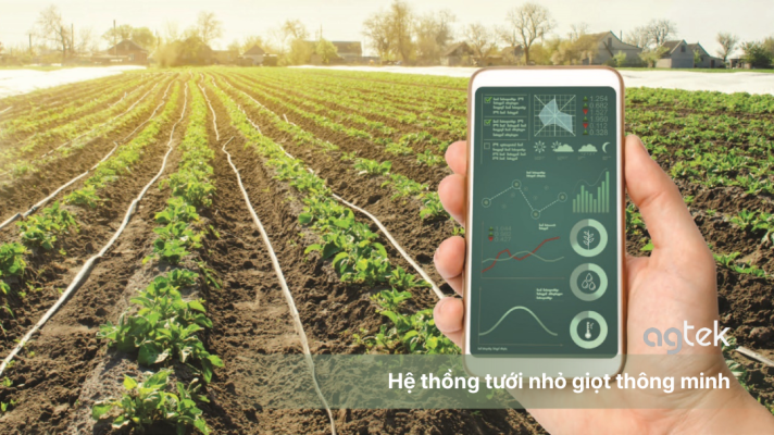 Hệ thống tưới nhỏ giọt thông minh, ưu nhược điểm, chi phí