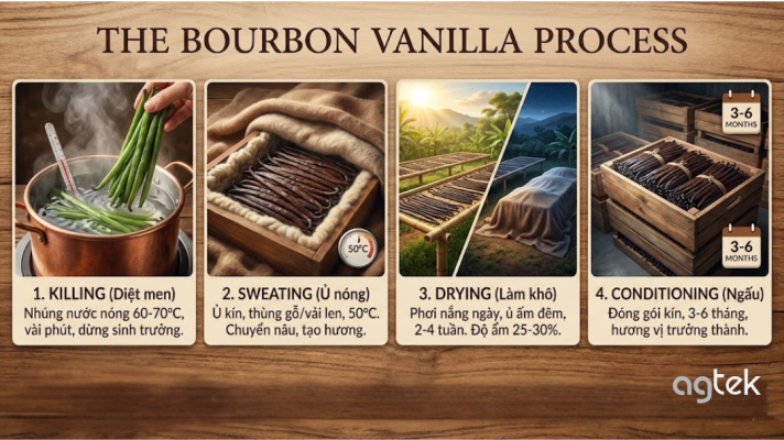 quy trình Bourbon ủ quả vani