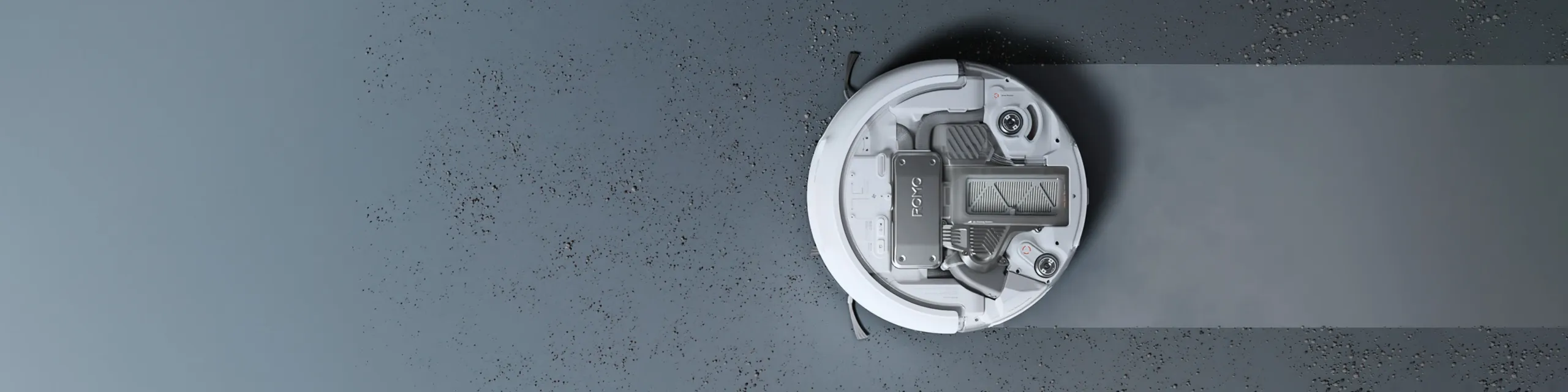 DJI Romo P